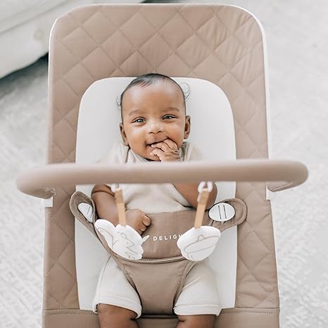 Baby Delight Alpine Deluxe Portable Baby Bouncer | Infant | 0-6 Months | 100% GOTS Certified Organic Cotton Fabric | Organic Mocha